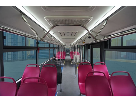 6270EVG City Bus (BRT)