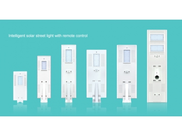 Integrated Solar Powered Light (All-in-one)