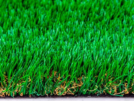 TS Anti-Bacterial Grass