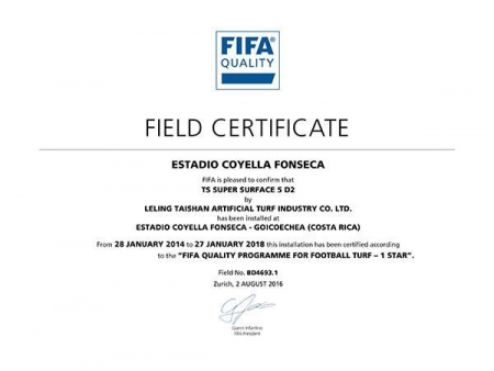 Football Artificial Turf & Soccer Artificial Grass