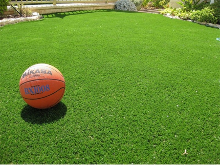Landscape Grass
