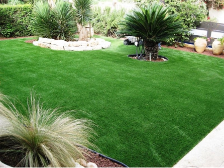 Landscape Grass