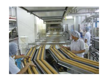 Automatic Inline Feeding System (for Sandwiching Machine)