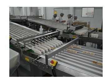 Automatic Tray Loading System
