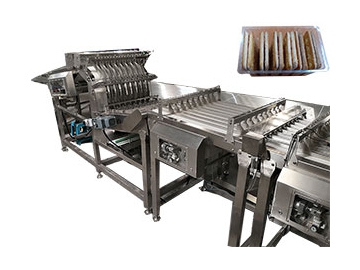 Automatic Inline Tray Loading System