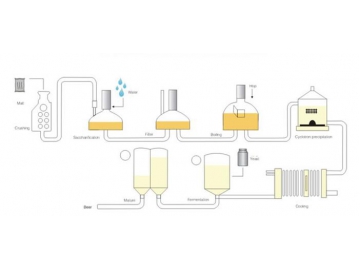 Beer Brewing Equipment