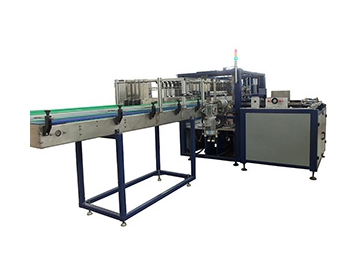 Small Bottled Beverage Filling and Packaging Line