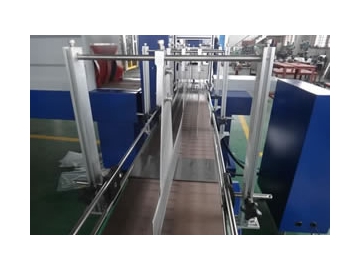 Auto Sealing and Shrink Wrap Machine