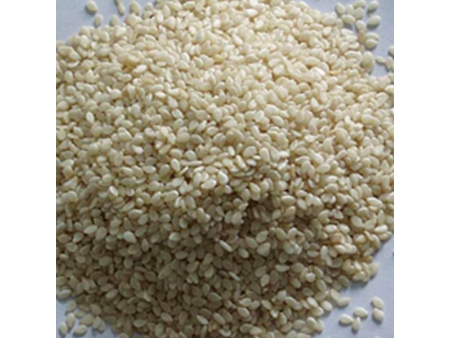 Automatic Rotary Drum Roaster