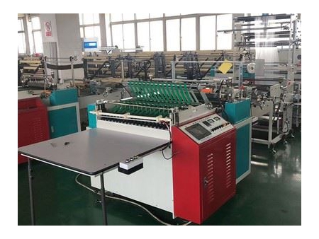 Multifunctional Computer Control Heat Cutting Side Sealing Machine, DRQ-G