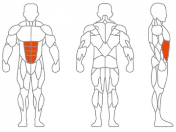 Abdominal Crunch