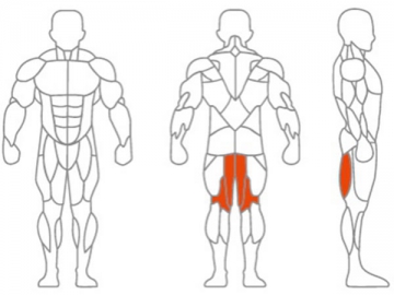 Seated Leg Curl