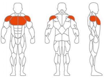 Chest Incline