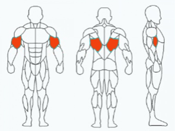 Plate Loaded Pulldown