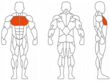 Vertical Chest Press