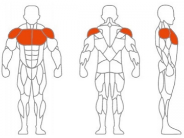 Incline Chest Press