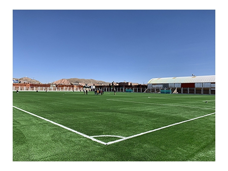 Artificial Football Grass