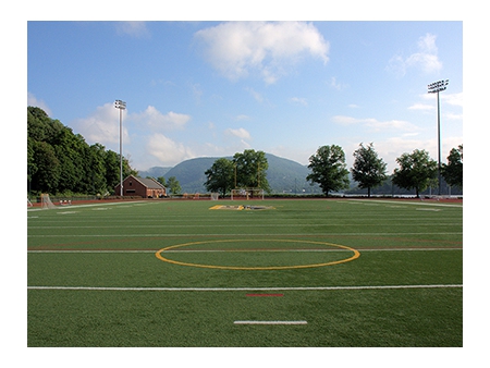 Multi-sports Turf