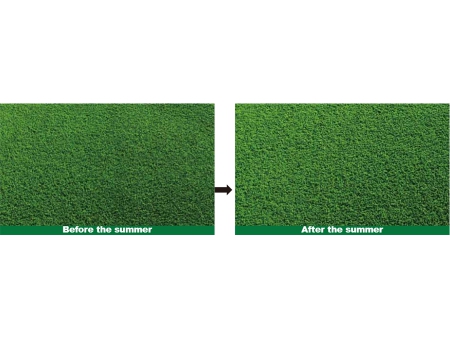 HD Turf High Temperature Resistant Artificial Grass