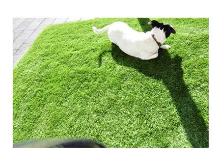 HD Turf High Temperature Resistant Artificial Grass