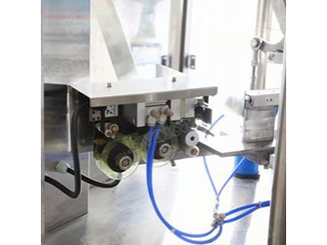 Rotary Pouch Fill Seal Machine