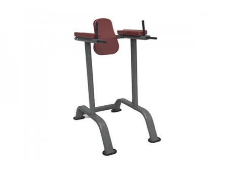 TZ-4001	Vertical Knee Raise Machine