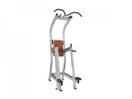 TZ-5019	Chin-Dip Leg Raise Machine