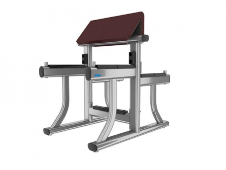 TZ-8025	Preacher Curl Machine