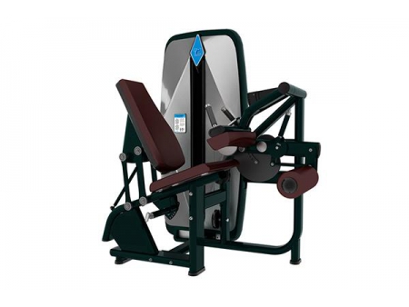 TZ-9001	Seated Leg Curl Machine