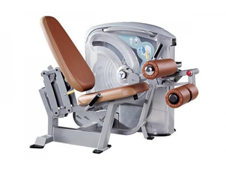 TZ-5010	Seated Leg Curl Machine