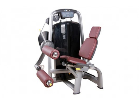 TZ-6001	Seated Leg Curl Machine