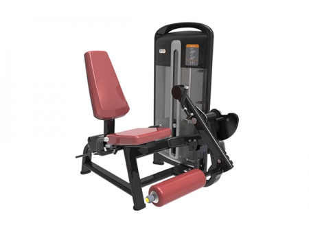 TZ-4002	Leg Extension Machine