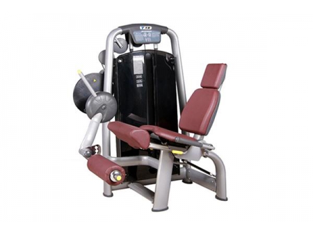 TZ-6002	Seated Leg Extension Machine