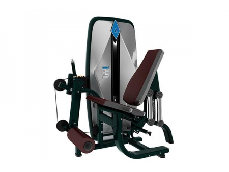 TZ-9002	Seated Leg Extension Machine