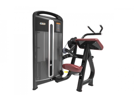 TZ-4011	Triceps Extension Machine