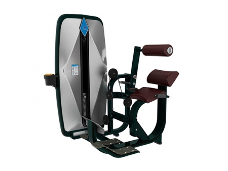 TZ-9006	Back Extension Machine