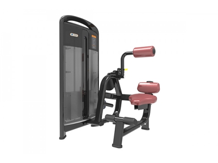 TZ-4006	 Back Extension Machine