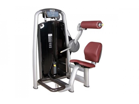 TZ-6006	Back Extension Machine