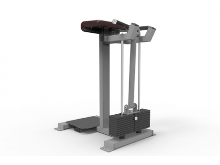 TZ-7 Series Strength Training Machine