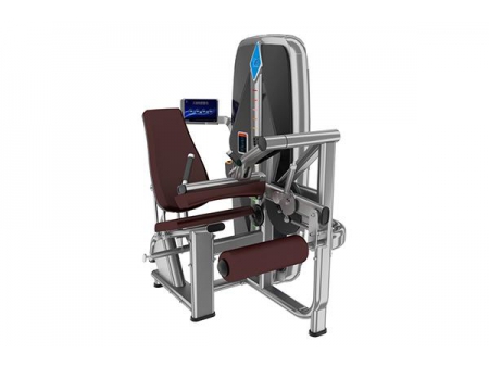 TZ-001	Seated Leg Curl Machine