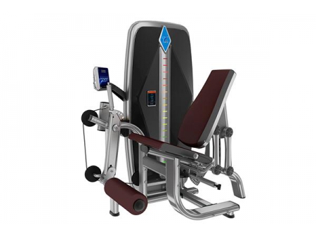 TZ-002 Seated Leg Extension Machine