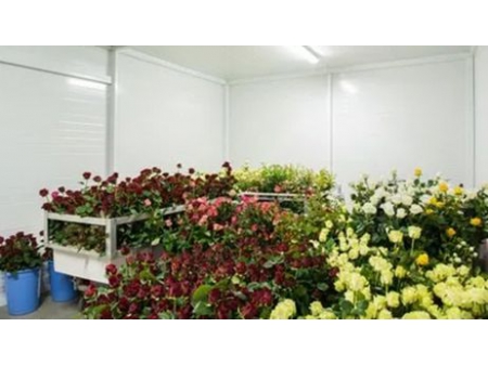 Vertical Lift Cold Storage Door