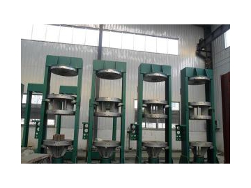 Rubber Tyre Vulcanizing Press