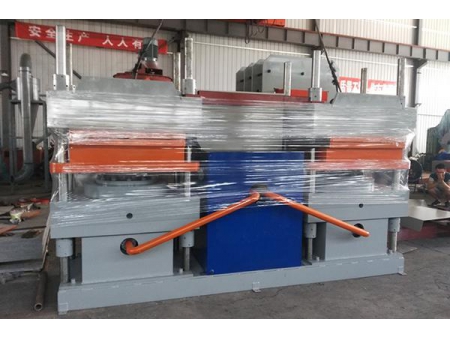 Duplex Rubber Vulcanizing Machine