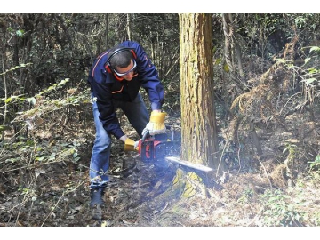 56.5cc 2600W Gas Powered Chainsaw