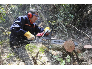 59.8cc 3100W Gas Powered Chainsaw