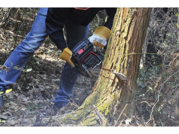 59.8cc 3100W Gas Powered Chainsaw