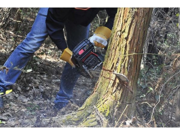 58cc 2300W Gas Powered Chainsaw