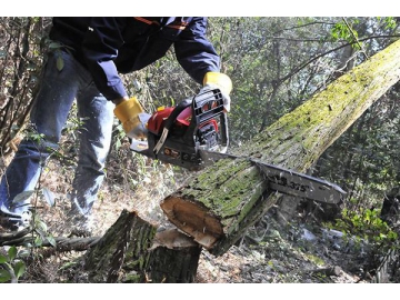 58cc 2300W Gas Powered Chainsaw