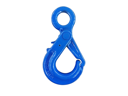 G100 Eye Self Locking Hook